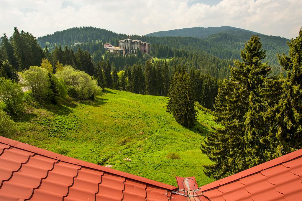 Snezhanka Hotel - Half Board Pamporovo Exterior foto